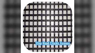 حل تقوية الطرق بالألياف الزجاجية Geogrid