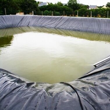 غطاء الجيوممبران HDPE القوي الغطاء البحري الزراعي لتربية الأحياء المائية الآمنة