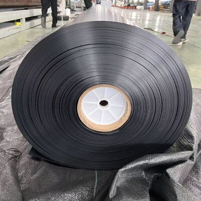 0.75ملم 1.25ملم صافي HDPE Geomembrane Liner لتربية الأحياء المائية بحيرة الجمبري