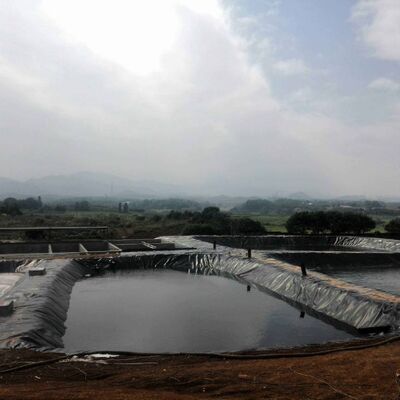 غطاء الجيوممبران HDPE القوي الغطاء البحري الزراعي لتربية الأحياء المائية الآمنة