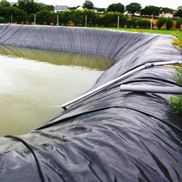 حاجز الجذر للماء بطانة غشاء أرضي HDPE لعزل حديقة السقف التجاري
