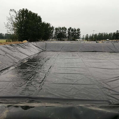 بطانة غشاء أرضي HDPE أسود لروبيان المياه المالحة وبرك الأسماك
