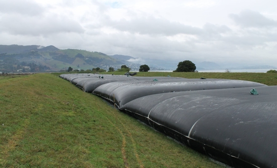 نزح المياه Geotextile Tube Geobag PP PET Geotube لمرشح الطمي مرشح الرمل الساتر الساحلي